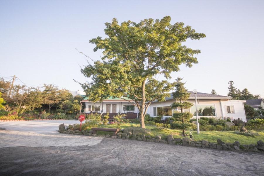 ג'גו Sunyang Village Pension מראה חיצוני תמונה